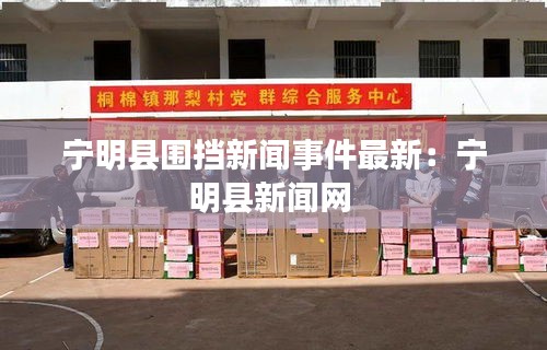 不求甚解 第4页