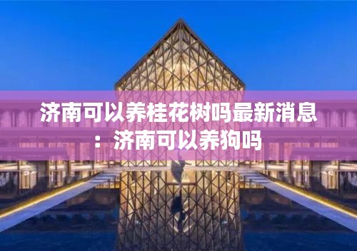 济南可以养桂花树吗最新消息：济南可以养狗吗 
