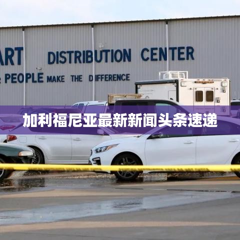 炊粱跨卫 第3页