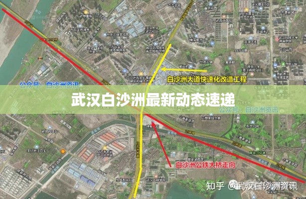 武汉白沙洲最新动态速递