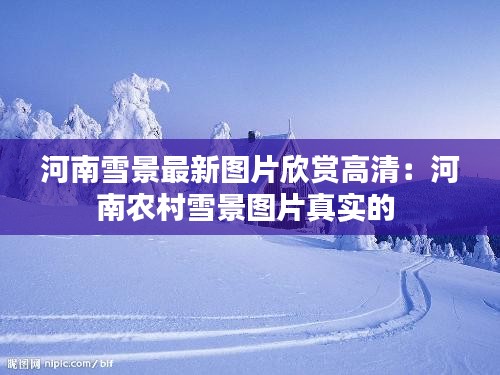 河南雪景最新图片欣赏高清：河南农村雪景图片真实的 