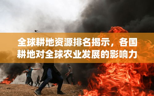 全球耕地资源排名揭示，各国耕地对全球农业发展的影响力分析