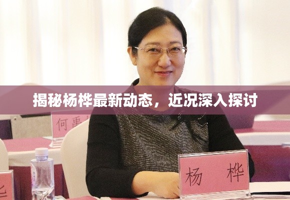 张王李赵 第3页
