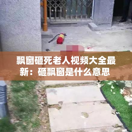 飘窗砸死老人视频大全最新：砸飘窗是什么意思 