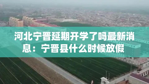 百鸟朝凤 第3页