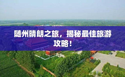 走马观花 第3页