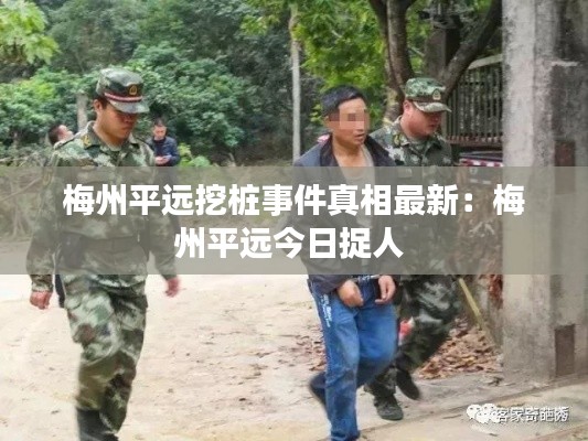 梅州平远挖桩事件真相最新：梅州平远今日捉人 