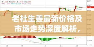 逸兴遄飞 第3页