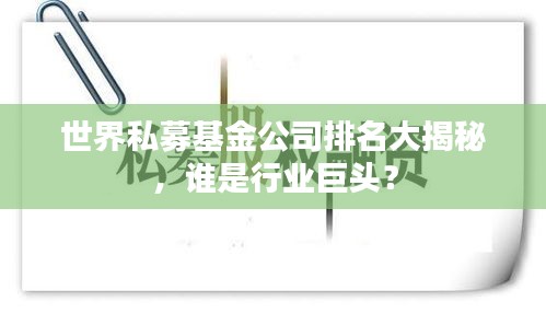 世界私募基金公司排名大揭秘，谁是行业巨头？