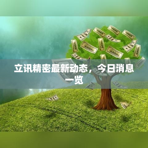 立讯精密最新动态，今日消息一览