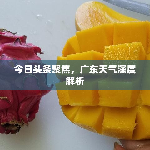 今日头条聚焦，广东天气深度解析