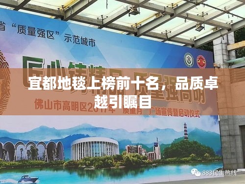 宜都地毯上榜前十名，品质卓越引瞩目