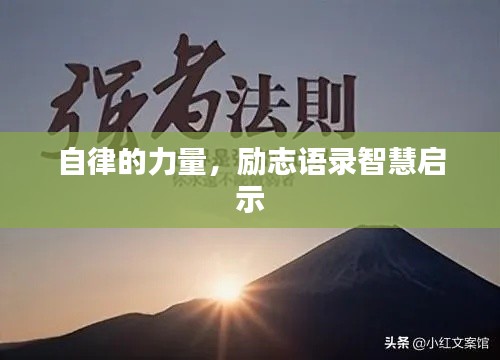 灰飞烟灭 第3页
