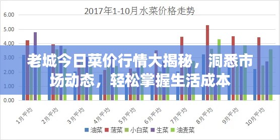 老城今日菜价行情大揭秘，洞悉市场动态，轻松掌握生活成本