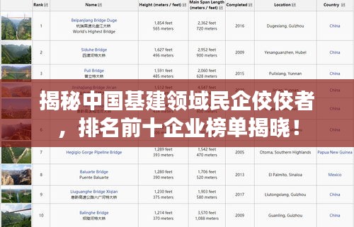 揭秘中国基建领域民企佼佼者，排名前十企业榜单揭晓！
