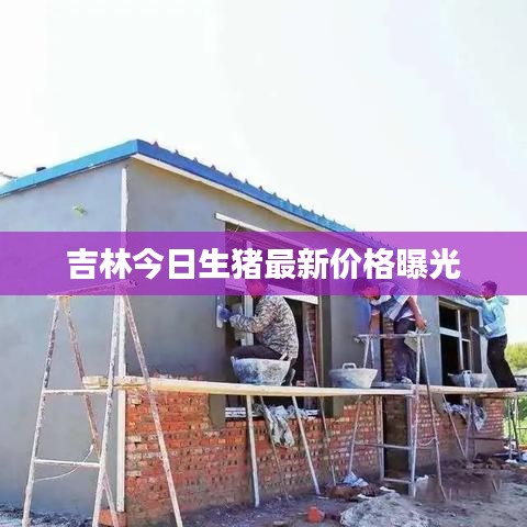 吉林今日生猪最新价格曝光