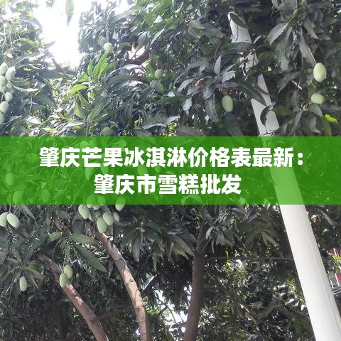肇庆芒果冰淇淋价格表最新：肇庆市雪糕批发 