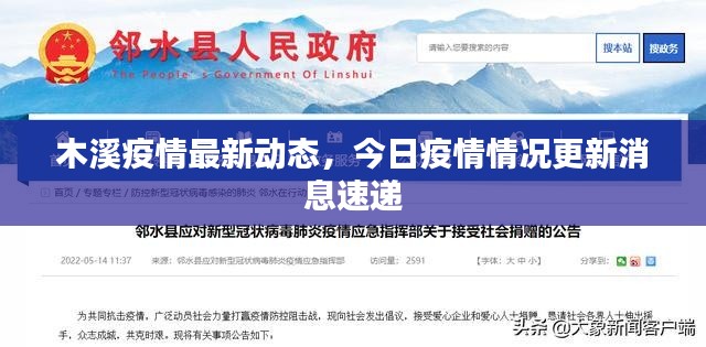 木溪疫情最新动态，今日疫情情况更新消息速递