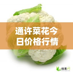 通许菜花今日价格行情更新！最新报价一网打尽。