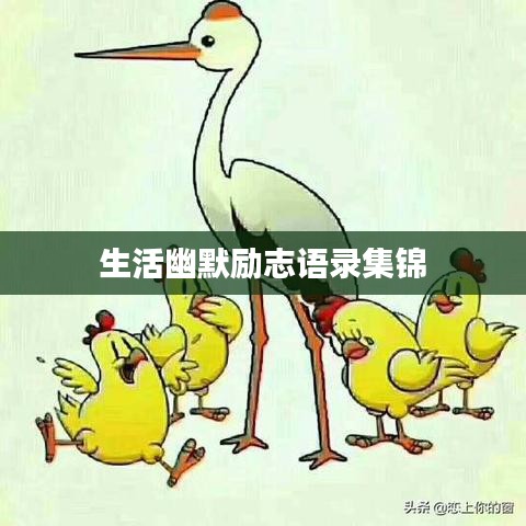 生活幽默励志语录集锦