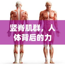 鬼张鬼智 第3页