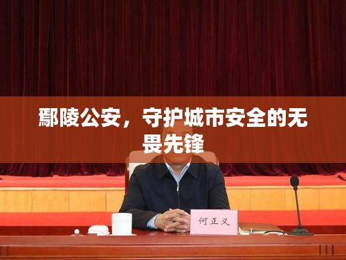 鄢陵公安，守护城市安全的无畏先锋