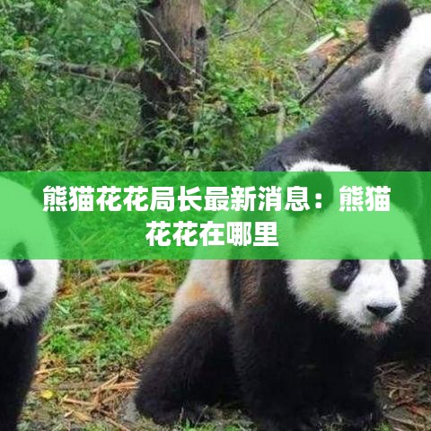 抛砖引玉 第3页