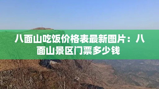 飞蝗芜湖 第3页