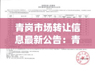 张灯挂彩 第3页