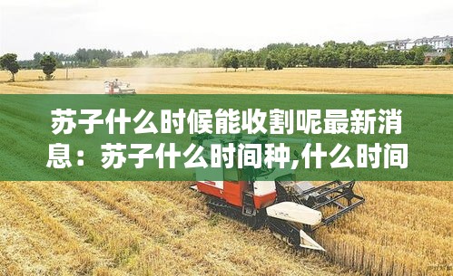 草率收兵 第3页