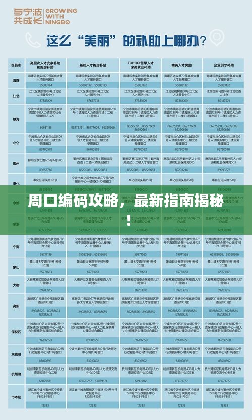 周口编码攻略，最新指南揭秘！