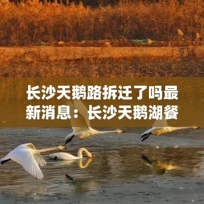 长沙天鹅路拆迁了吗最新消息：长沙天鹅湖餐厅 