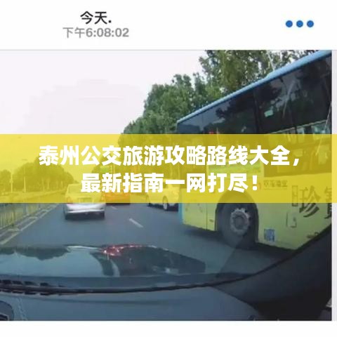 泰州公交旅游攻略路线大全，最新指南一网打尽！