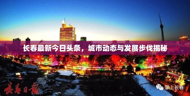 百鸟归巢 第3页