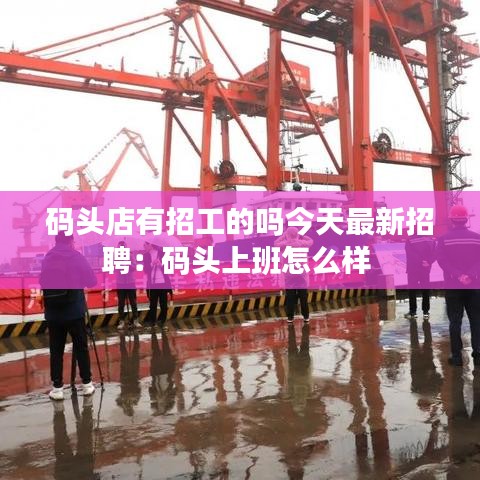 码头店有招工的吗今天最新招聘：码头上班怎么样 