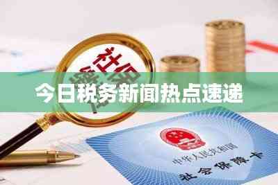 今日税务新闻热点速递
