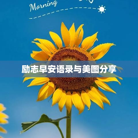励志早安语录与美图分享