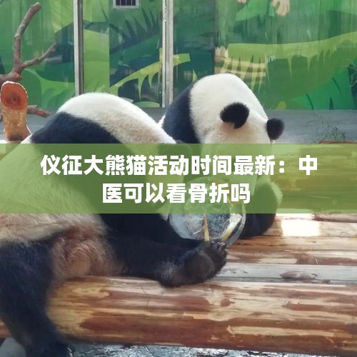 鸿飞雪爪 第2页