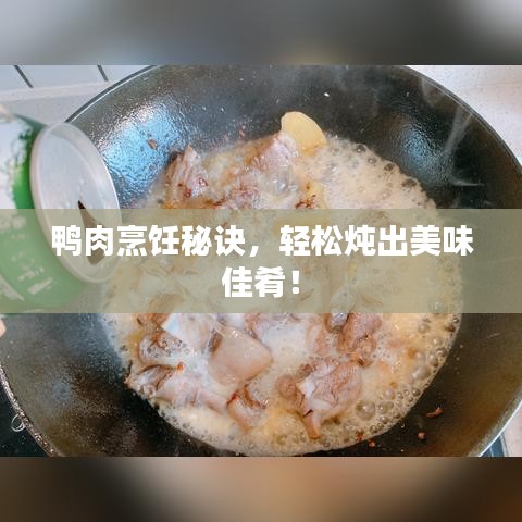 鸭肉烹饪秘诀，轻松炖出美味佳肴！