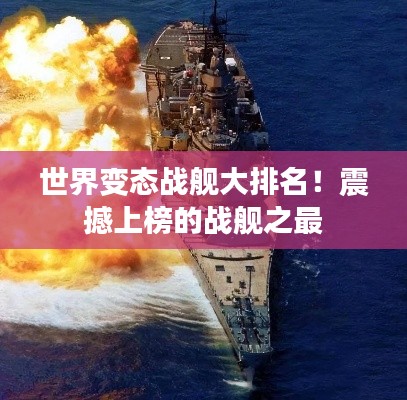 衣不重采 第3页
