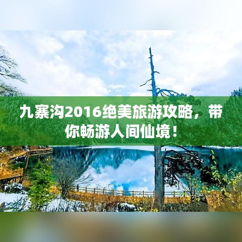澹泊明志，宁静致远 第2页