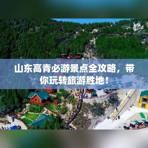 母以子贵 第3页