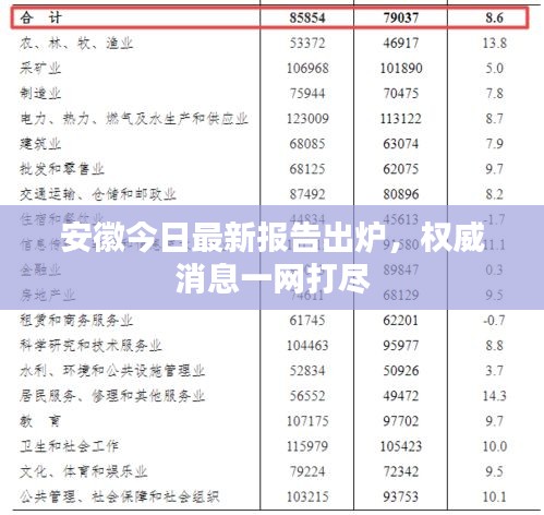 安徽今日最新报告出炉，权威消息一网打尽