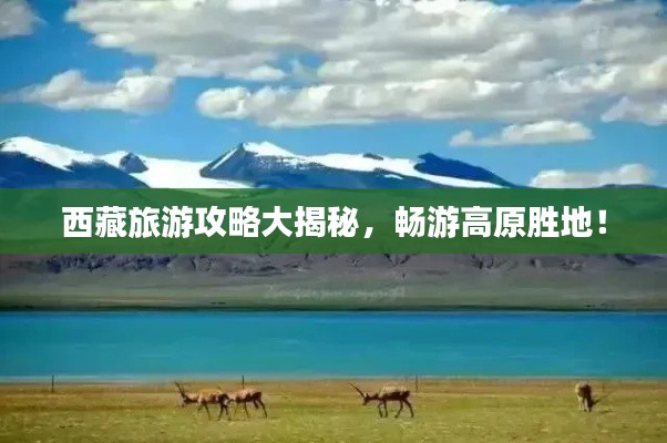 西藏旅游攻略大揭秘，畅游高原胜地！