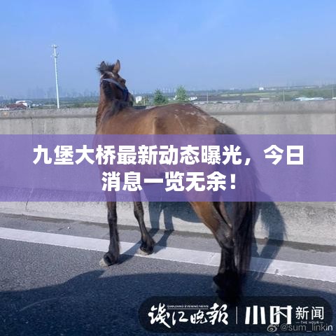 翰飞戾天 第2页