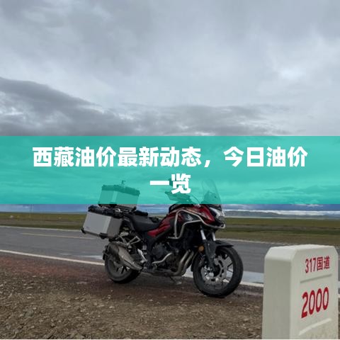 西藏油价最新动态，今日油价一览