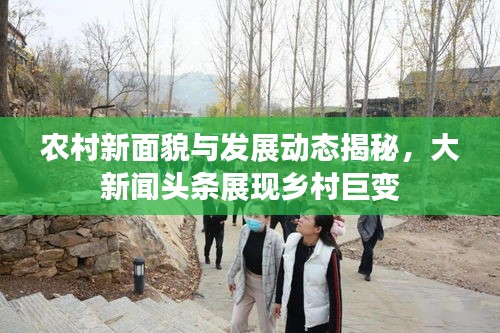 鸟惊鼠窜 第3页