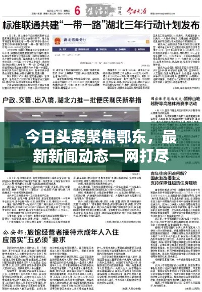 今日头条聚焦鄂东，最新新闻动态一网打尽