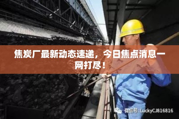 焦炭厂最新动态速递，今日焦点消息一网打尽！