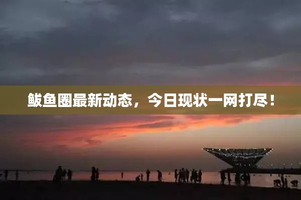 鲅鱼圈最新动态，今日现状一网打尽！